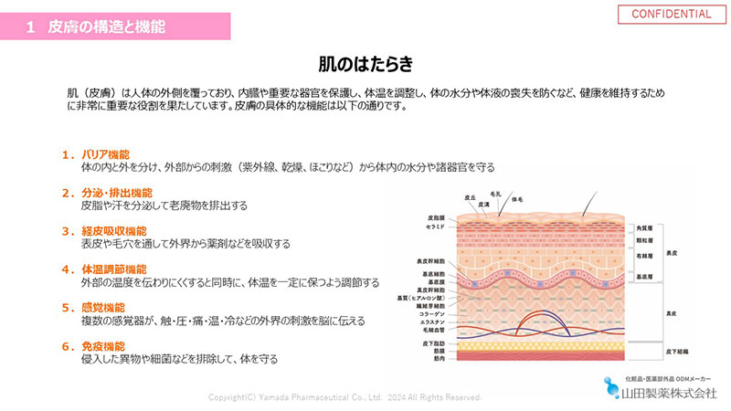 皮膚の教科書1：資料イメージ